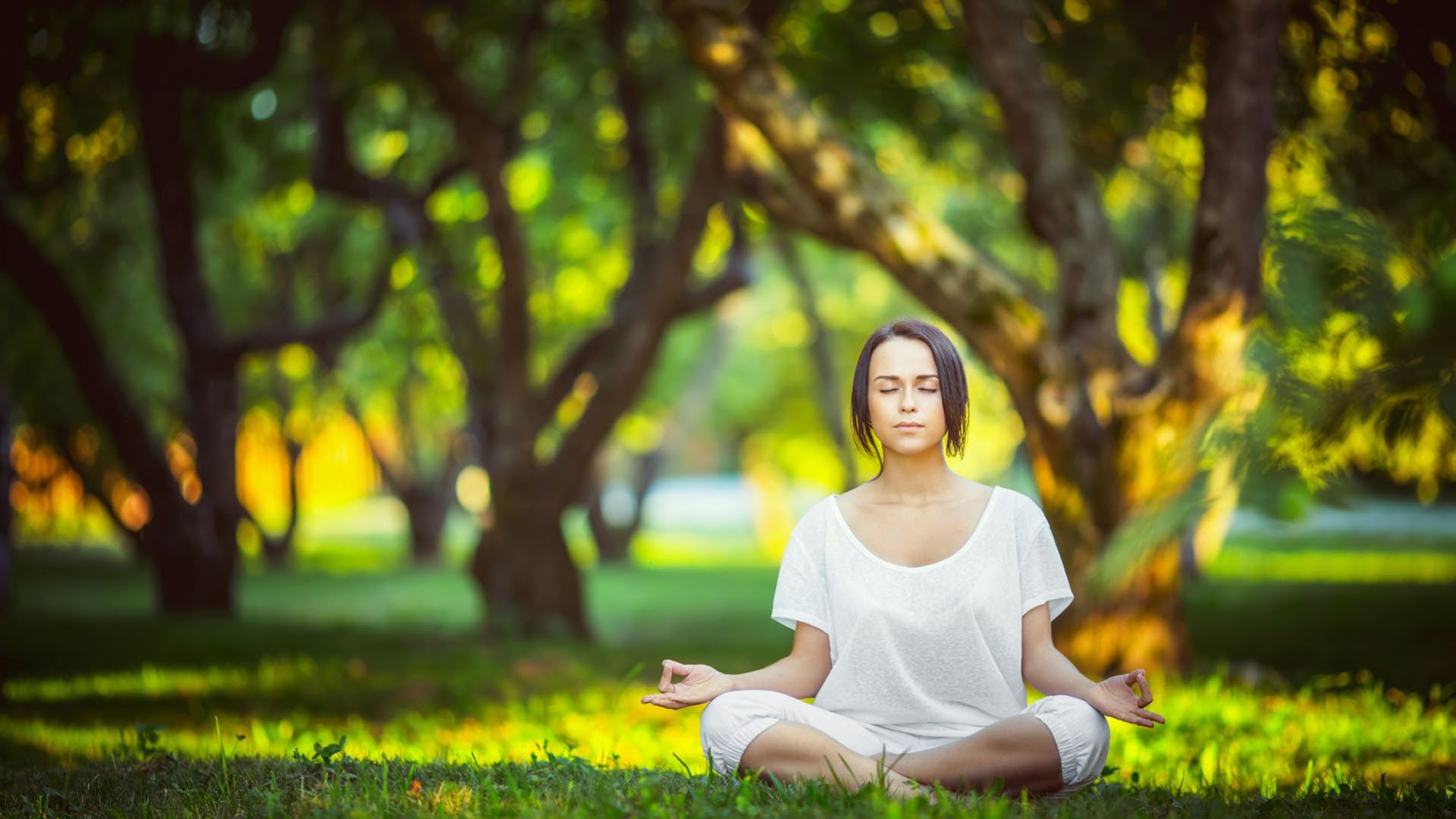 当足球、围棋和举重在平行宇宙里组队参加铁人三项